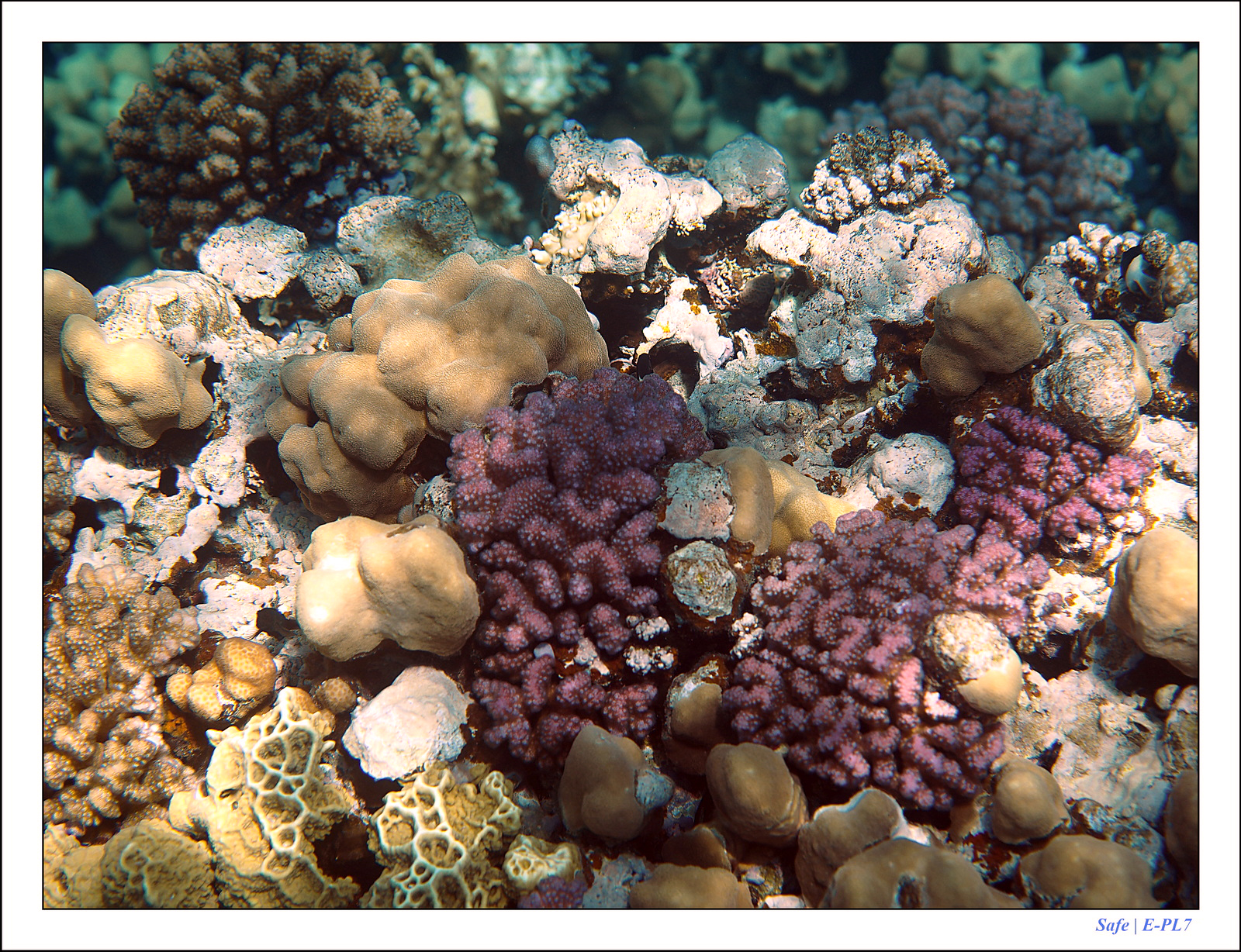 Hurghada - Juillet 2021 - 096